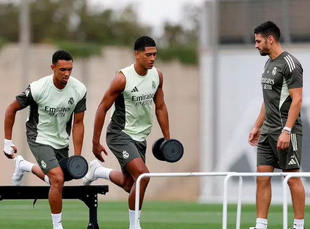 个半月的时, 他很有可能 个半月的时, 他很有可能